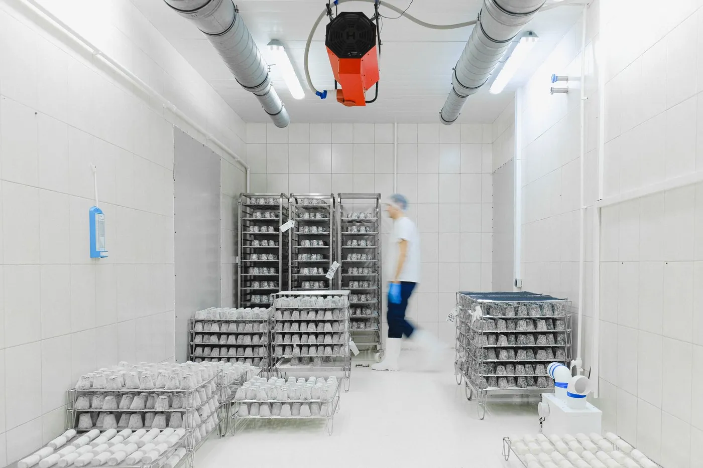 Bright commercial cold room with racked product and a worker walking through